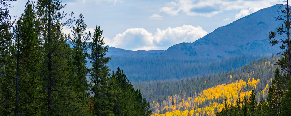 Colorado mountains and golden aspens